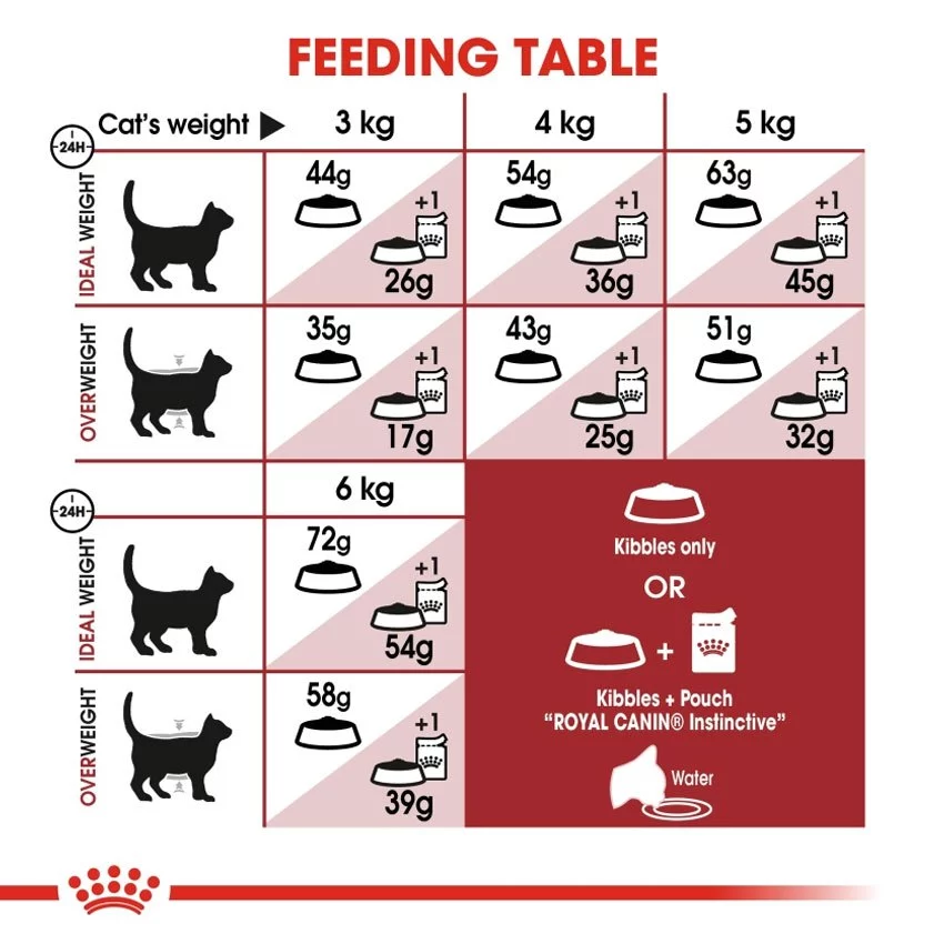 Royal Canin Fit 4kg อาหารเม็ดแมวโต รูปร่างดี อายุ 1 ปีขึ้นไป (Dry Cat Food, โรยัล คานิน)